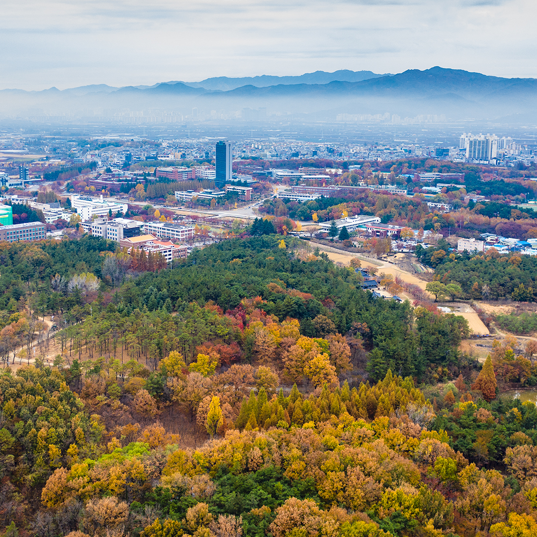 항공사진